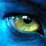 Avatar : حمیدرضا حسینی