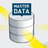 Master Data Management system