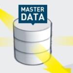Master Data Management system