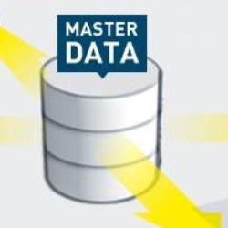 Master Data Management system