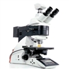 Optical microscope