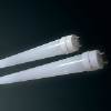 Fluorescent lamp