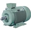Induction motor