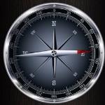 Magnetic compass