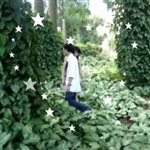 Avatar: Diep nguyen ngoc