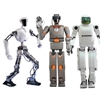 Humanoid robot