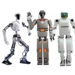 Humanoid robot