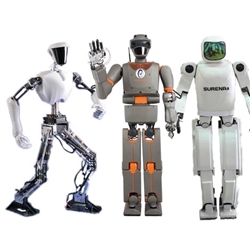 Humanoid robot